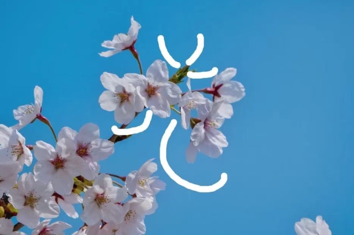 &#20061;&#28216;&#32593;&#39029;&#29256;&#30331;&#24405;&#20837;&#21475;&#45;&#20061;&#28216;&#40;&#20013;&#22269;&#41;