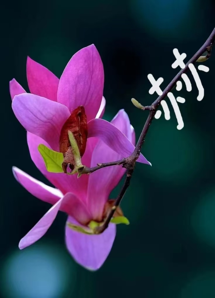 &#20061;&#28216;&#32593;&#39029;&#29256;&#30331;&#24405;&#20837;&#21475;&#45;&#20061;&#28216;&#40;&#20013;&#22269;&#41;