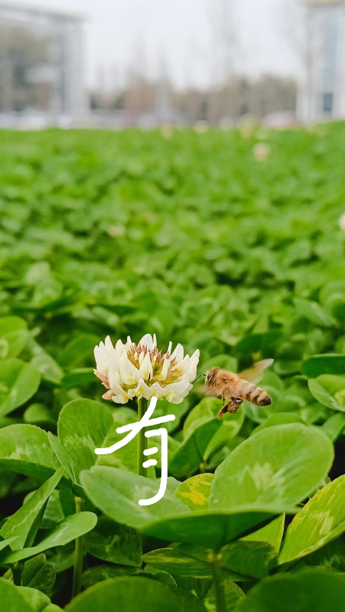 &#20061;&#28216;&#32593;&#39029;&#29256;&#30331;&#24405;&#20837;&#21475;&#45;&#20061;&#28216;&#40;&#20013;&#22269;&#41;