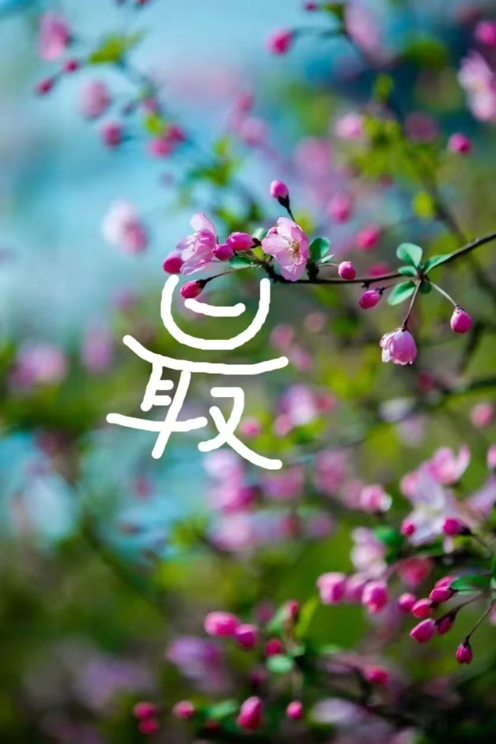 &#20061;&#28216;&#32593;&#39029;&#29256;&#30331;&#24405;&#20837;&#21475;&#45;&#20061;&#28216;&#40;&#20013;&#22269;&#41;